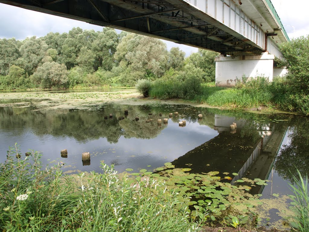 Под мостом / Under the bridge