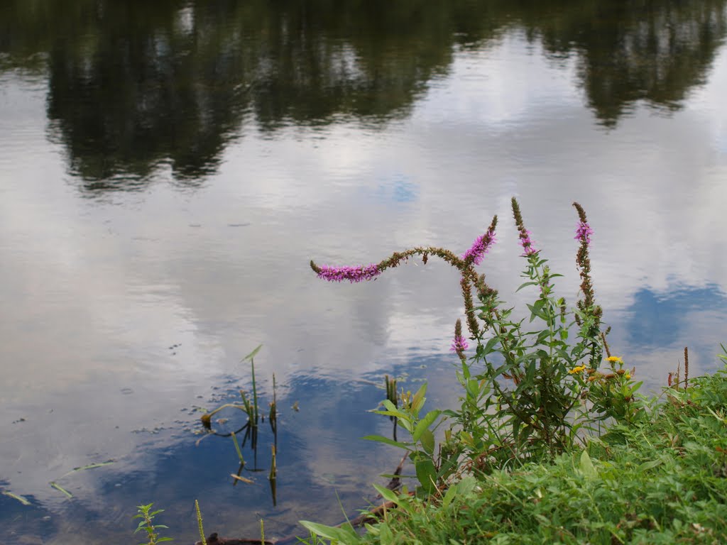 Судость / Sudost River