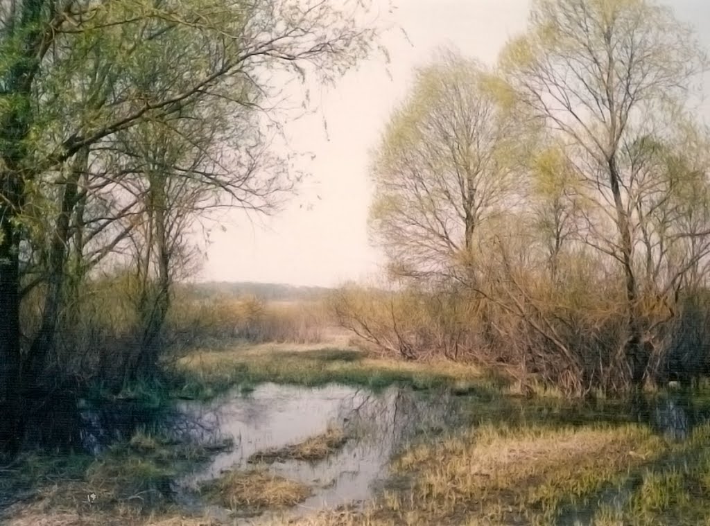 То было раннею весной... / It was in early spring...