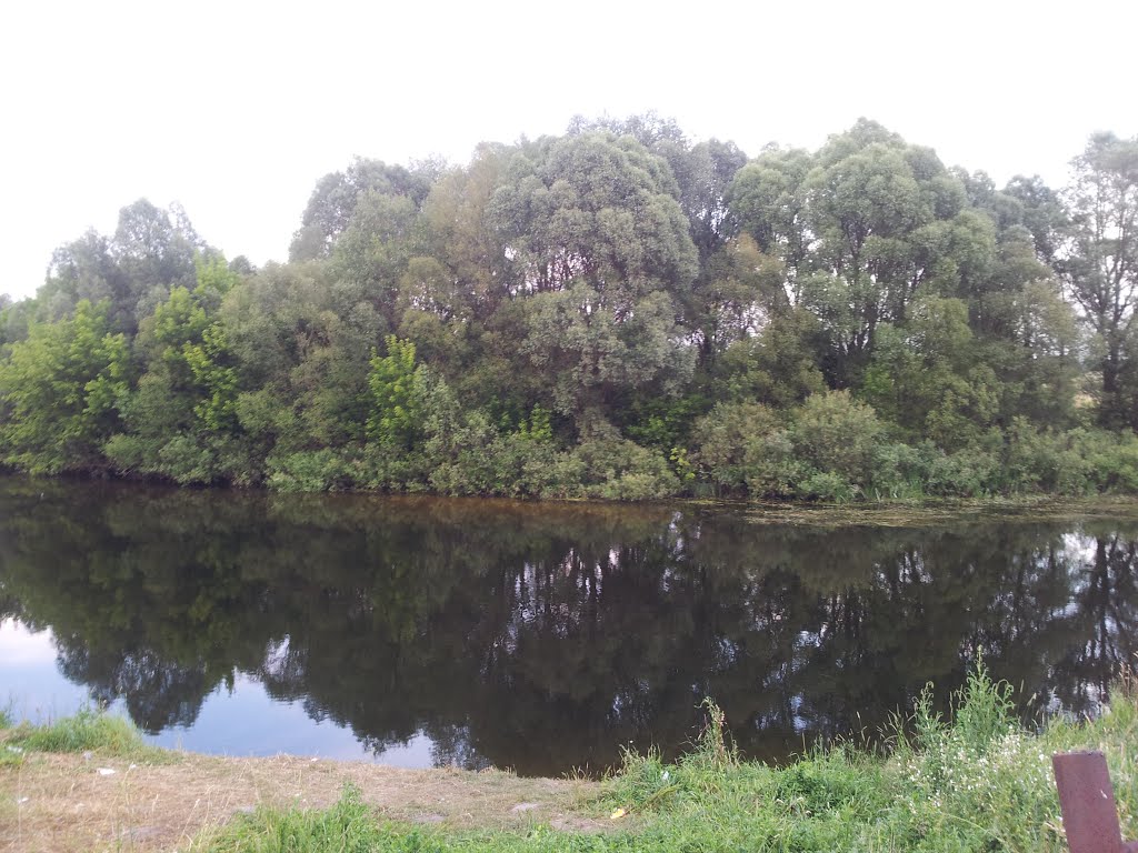 The Sudost River in July. Pogar, Bryansk District, Russia.