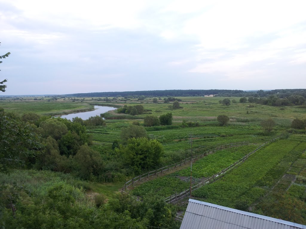 Russian expanses. Near Pogar, Bryansk District, Russia.