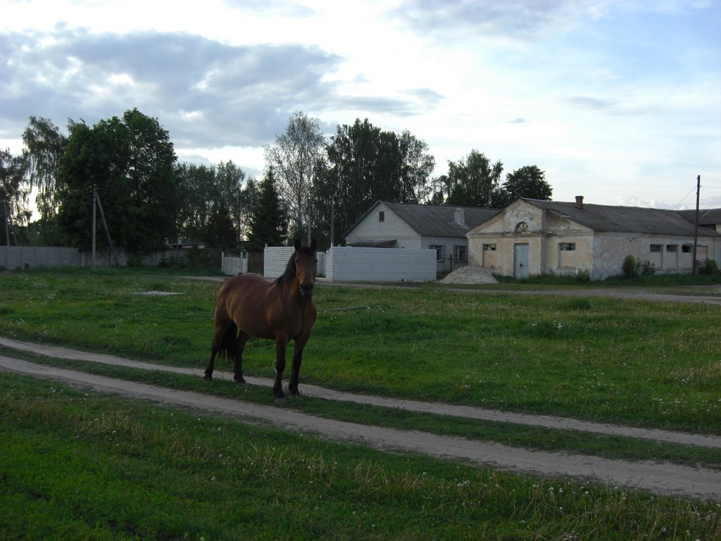 Old Market Square in Pochep