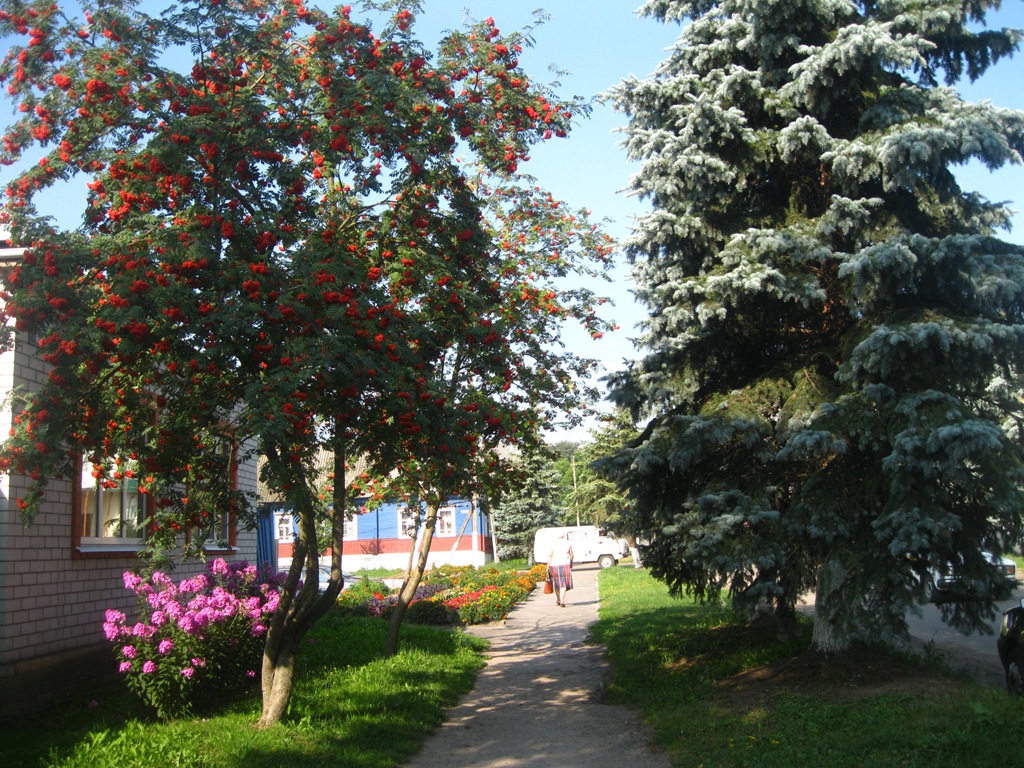 Почеп