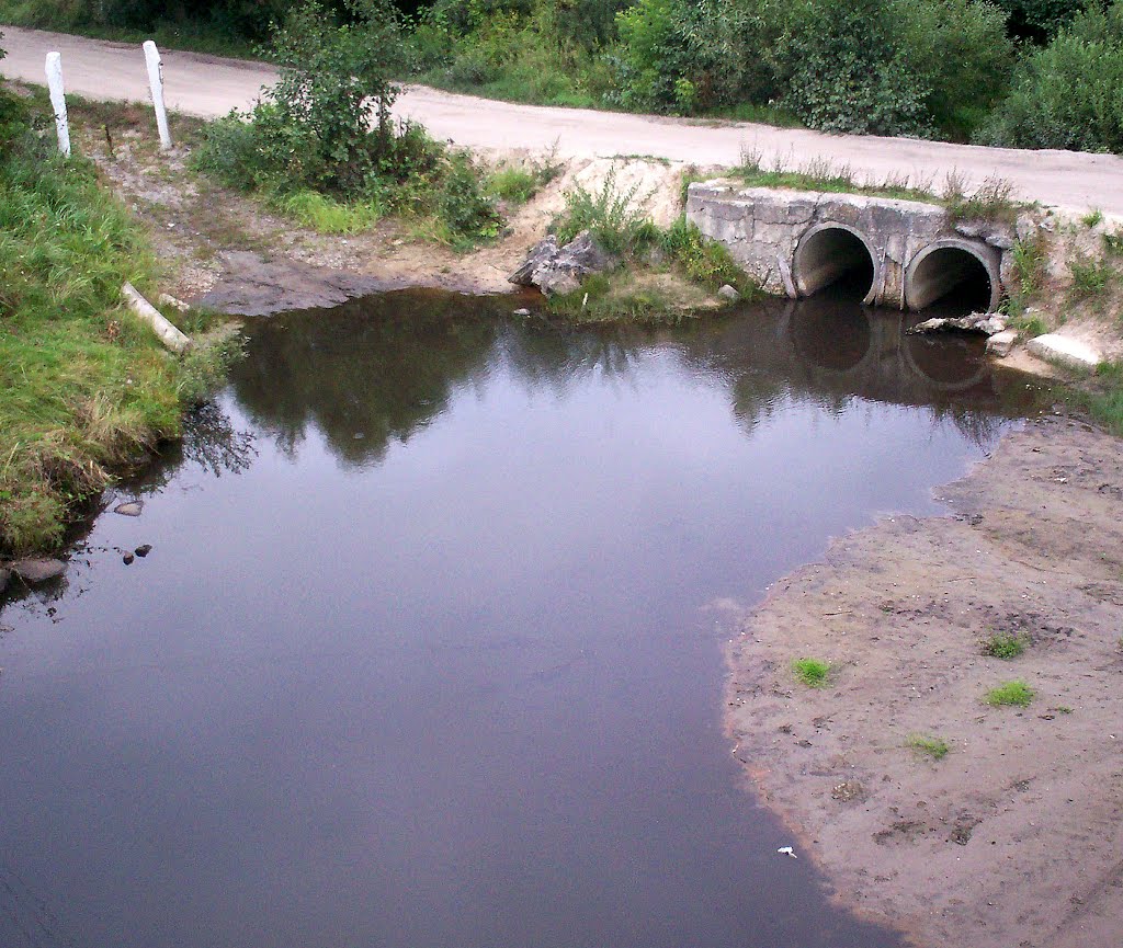 речка Ржаница