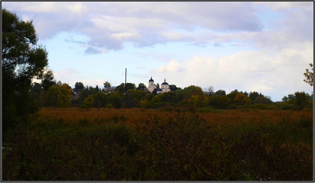 репейники