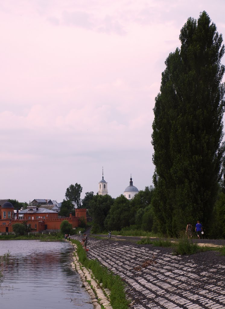 Sevsk.Лето2010