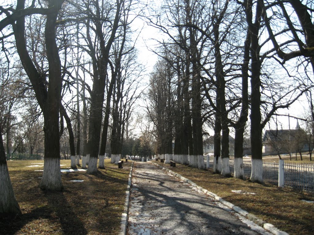 Городской парк