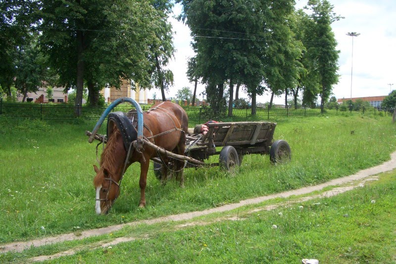 Севск