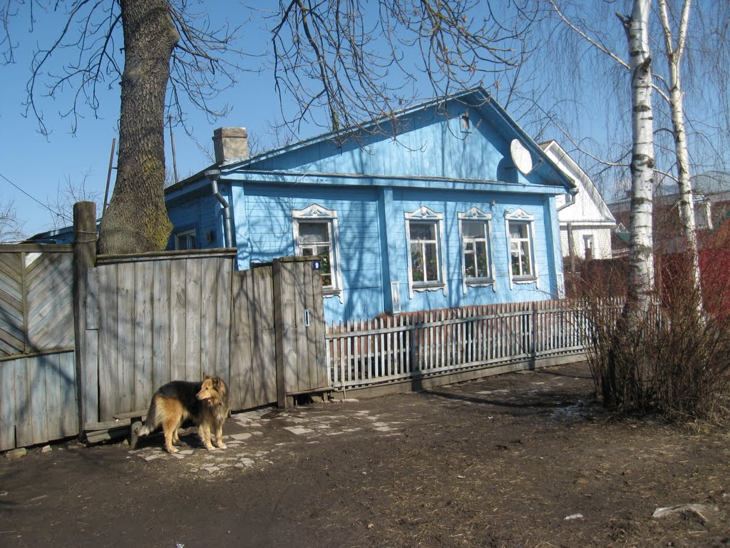 На севских улочках 5