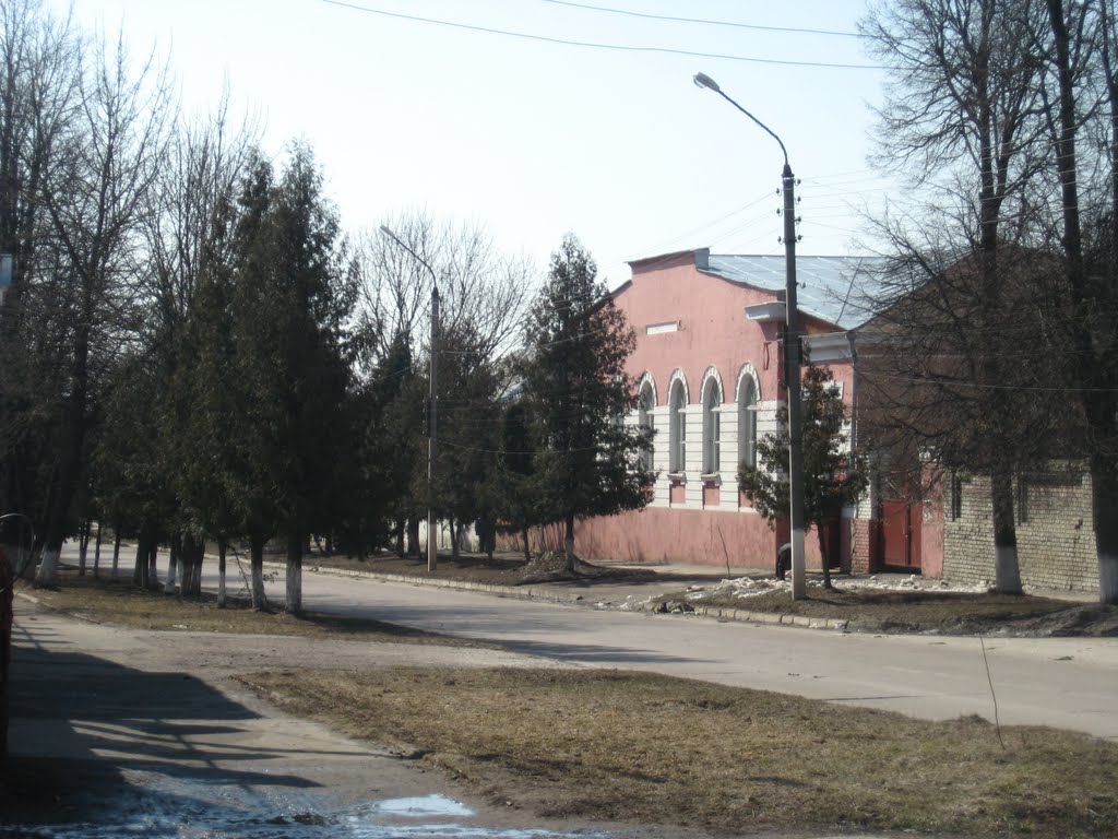 На севских улочках 1