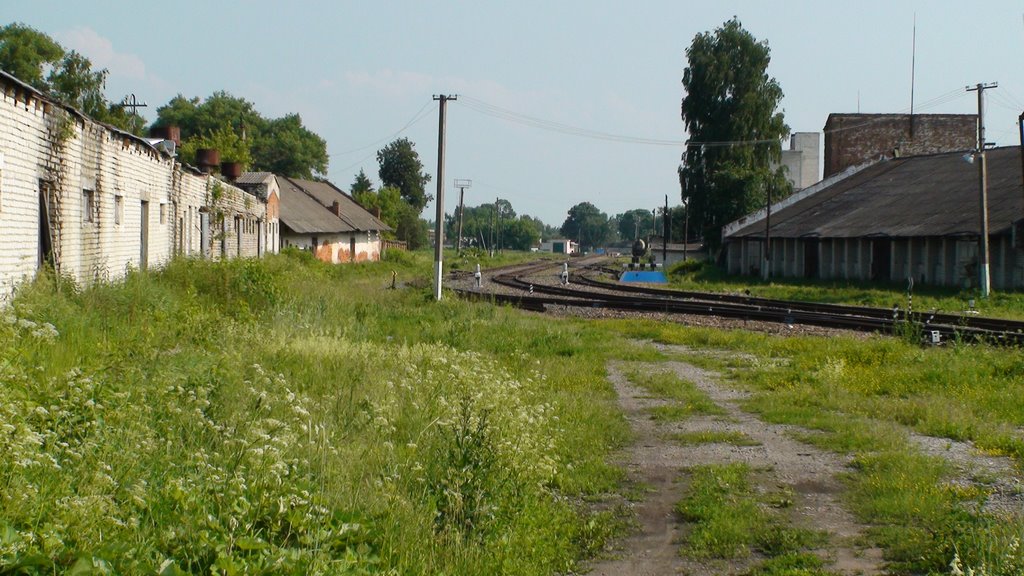 Не слышен боле крик кукушки.