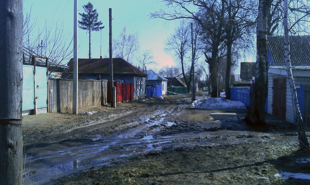Брянская область, г.Стародуб ул.Трудовая
