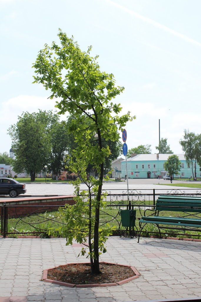 Вид на городскую площадь