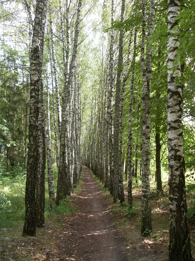 Аллея