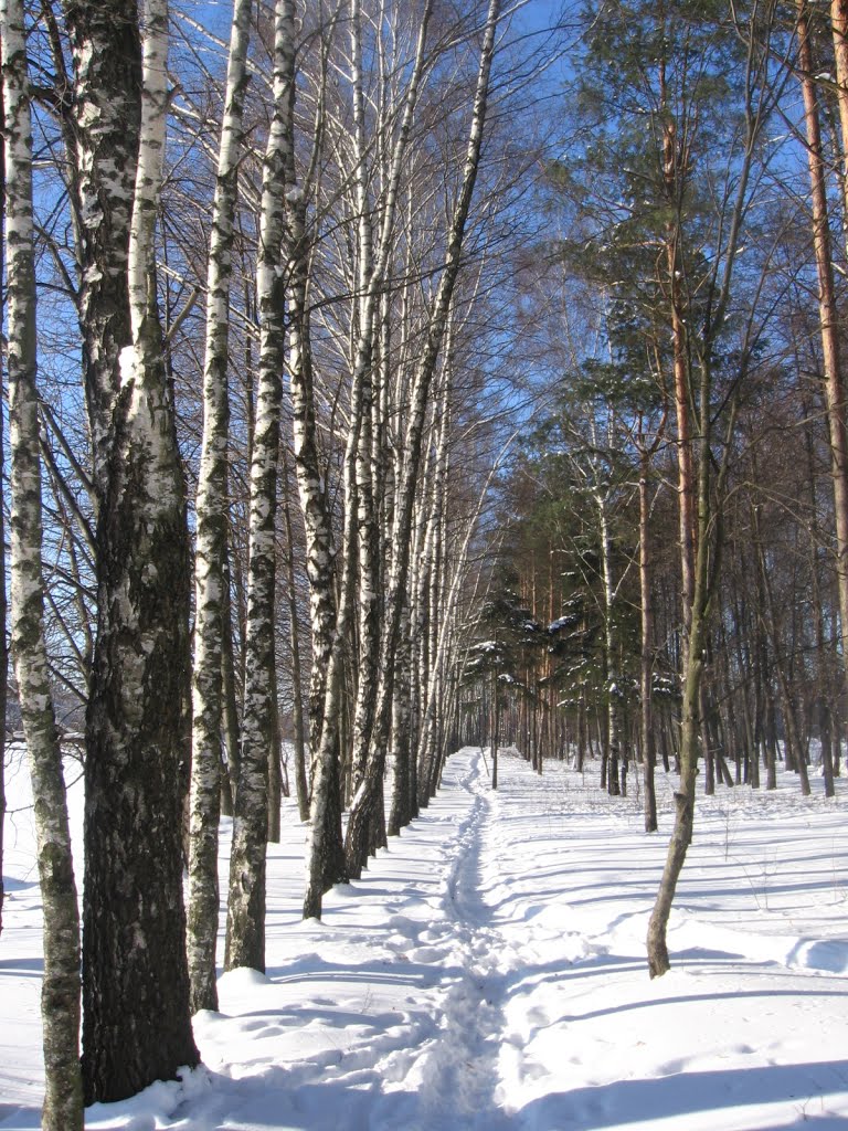 Без названия