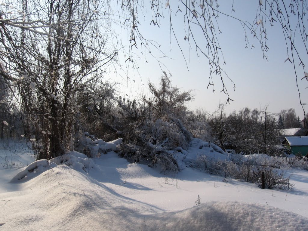Без названия