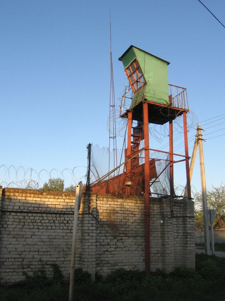 Без названия