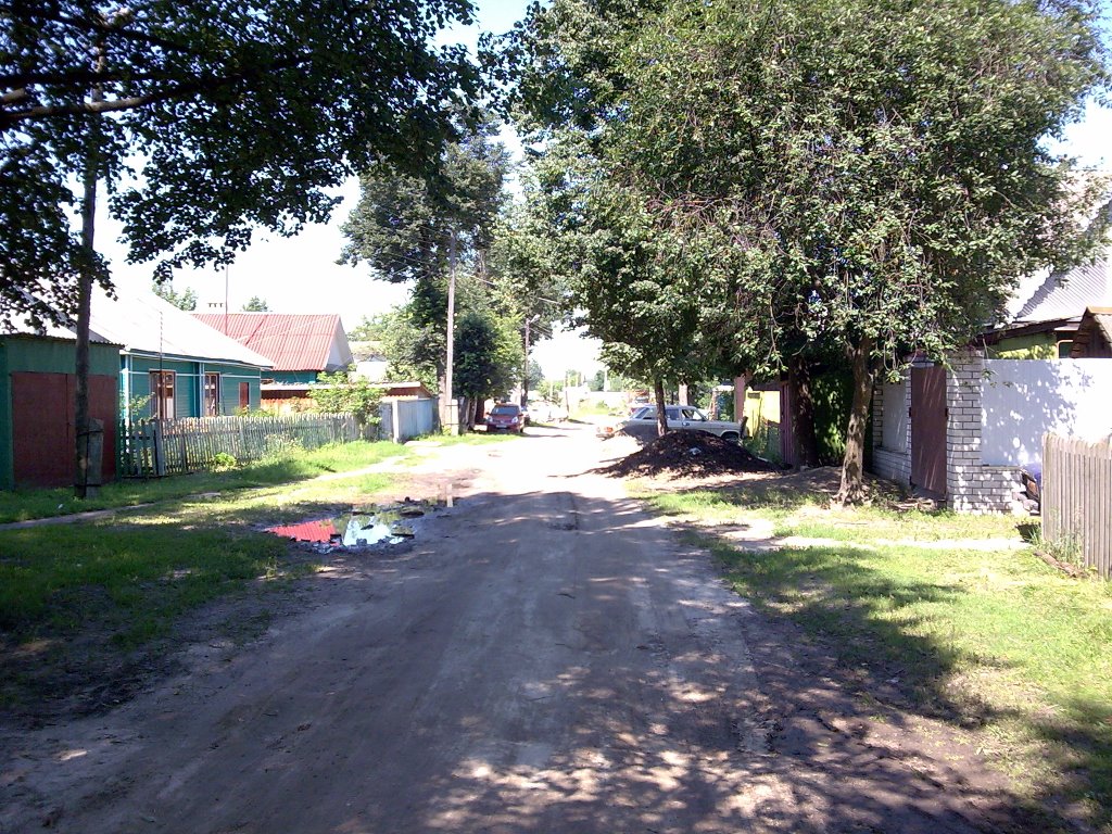 п. Суземка, ул. Механизаторов