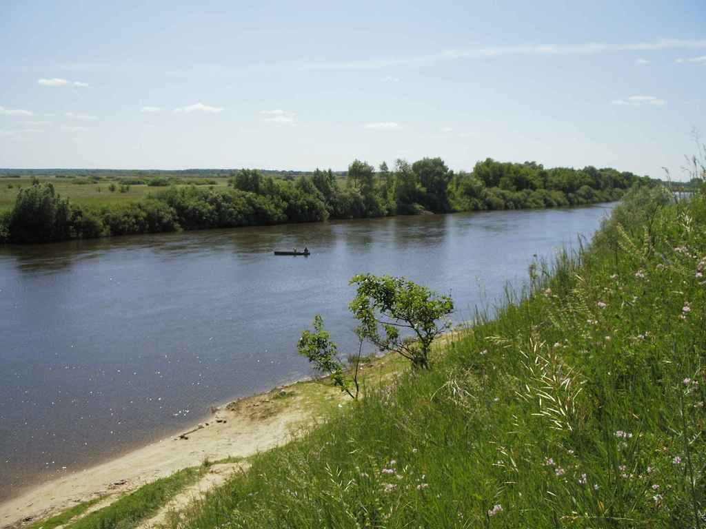 Вид на р. Десна. Шакин пляж