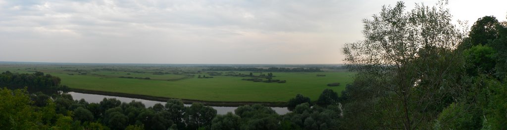 Панорамный вид (Трубчевский парк)