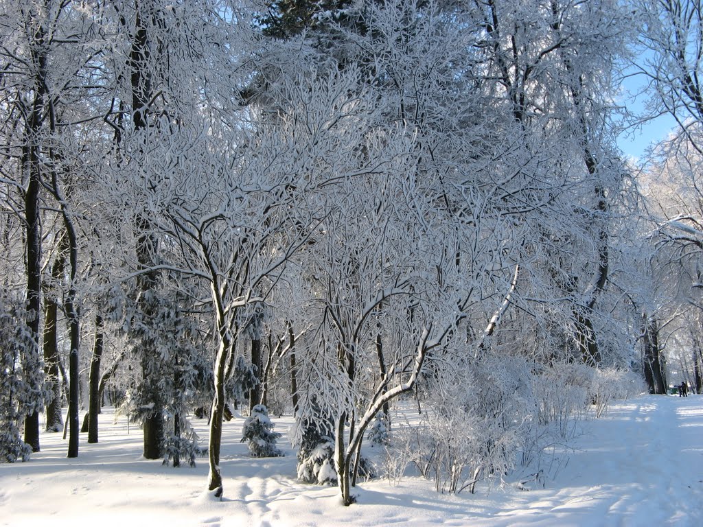 Парк