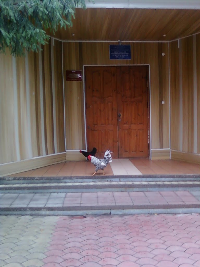 Трубчевский педколледж. Trubchevsk Teachers College