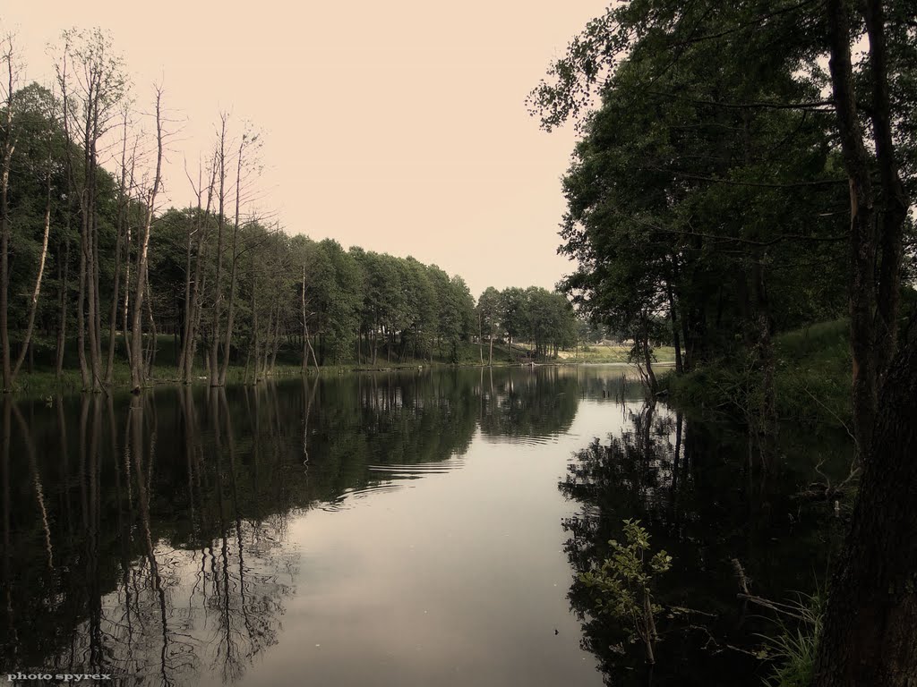 красивое озеро