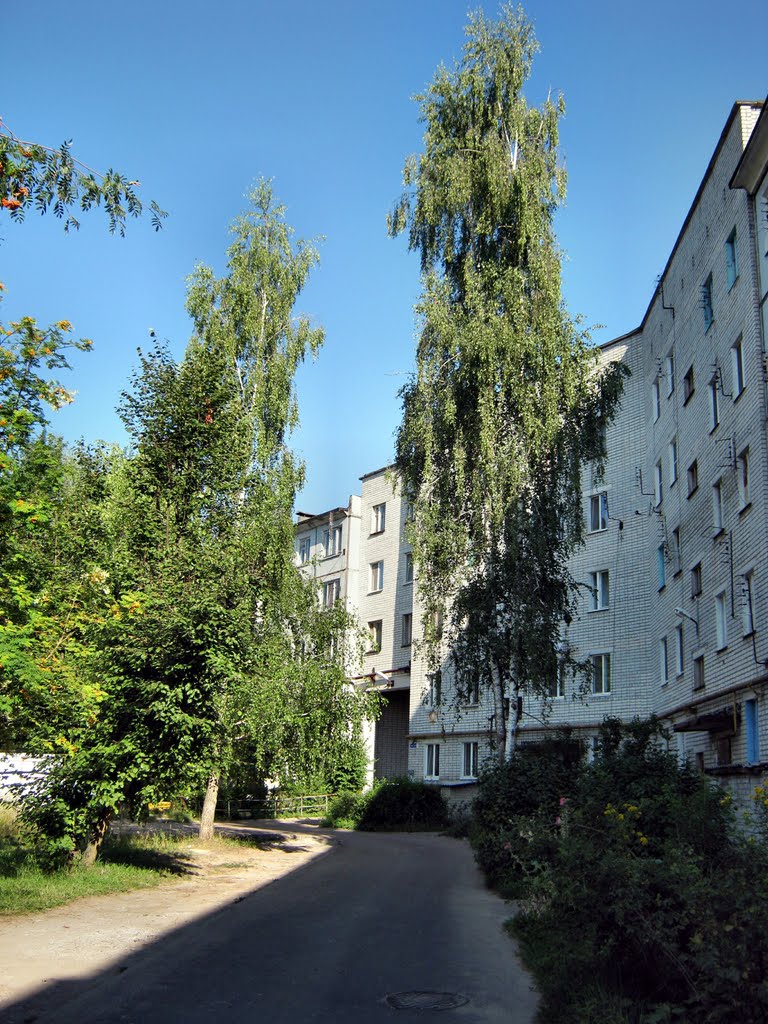 Двор