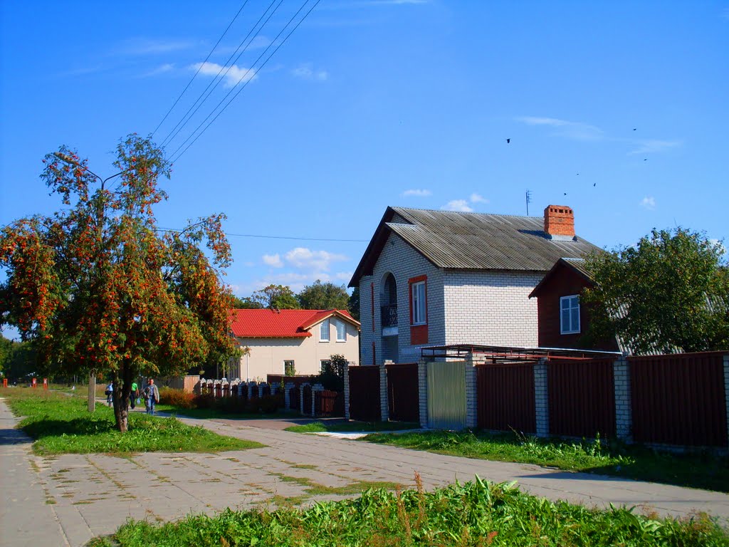 Брянская обл. Дятьково / Bryansk region. Dyatkovo