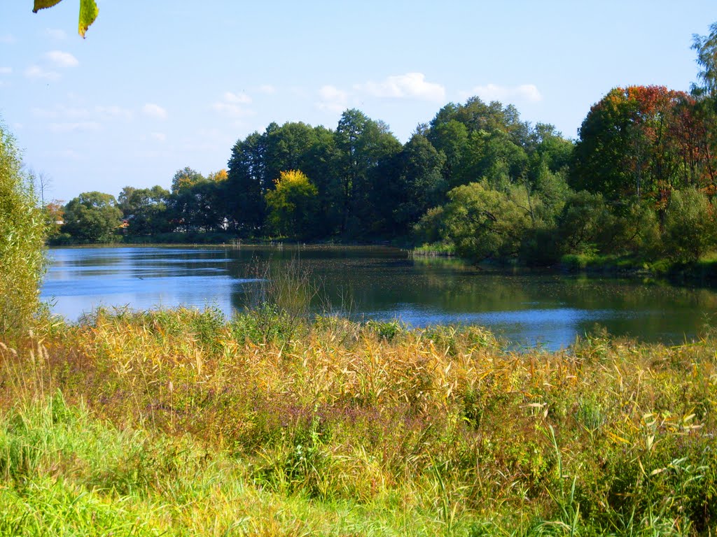 Брянская обл. Дятьково. Озеро "Парковка" / Bryansk region. Dyatkovo. Lake "Parkovka"