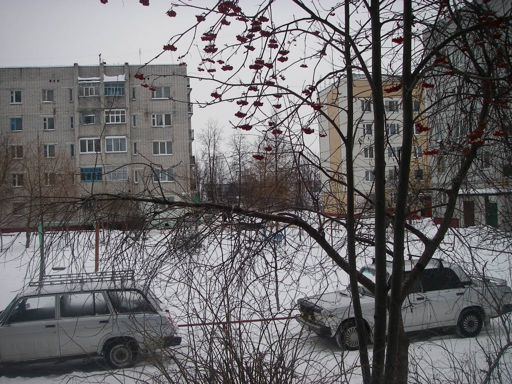Январь 2011 г.
