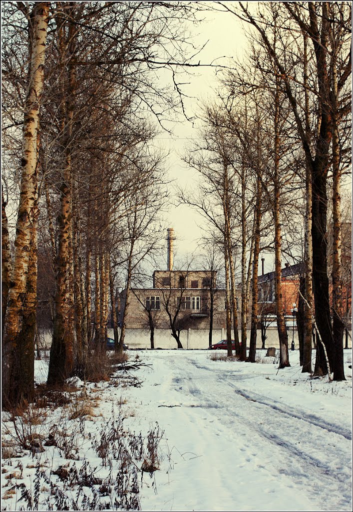 алея,дхз
