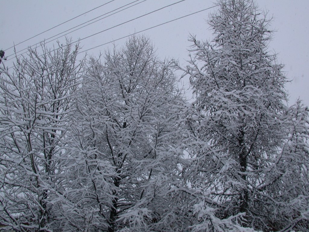First Snow