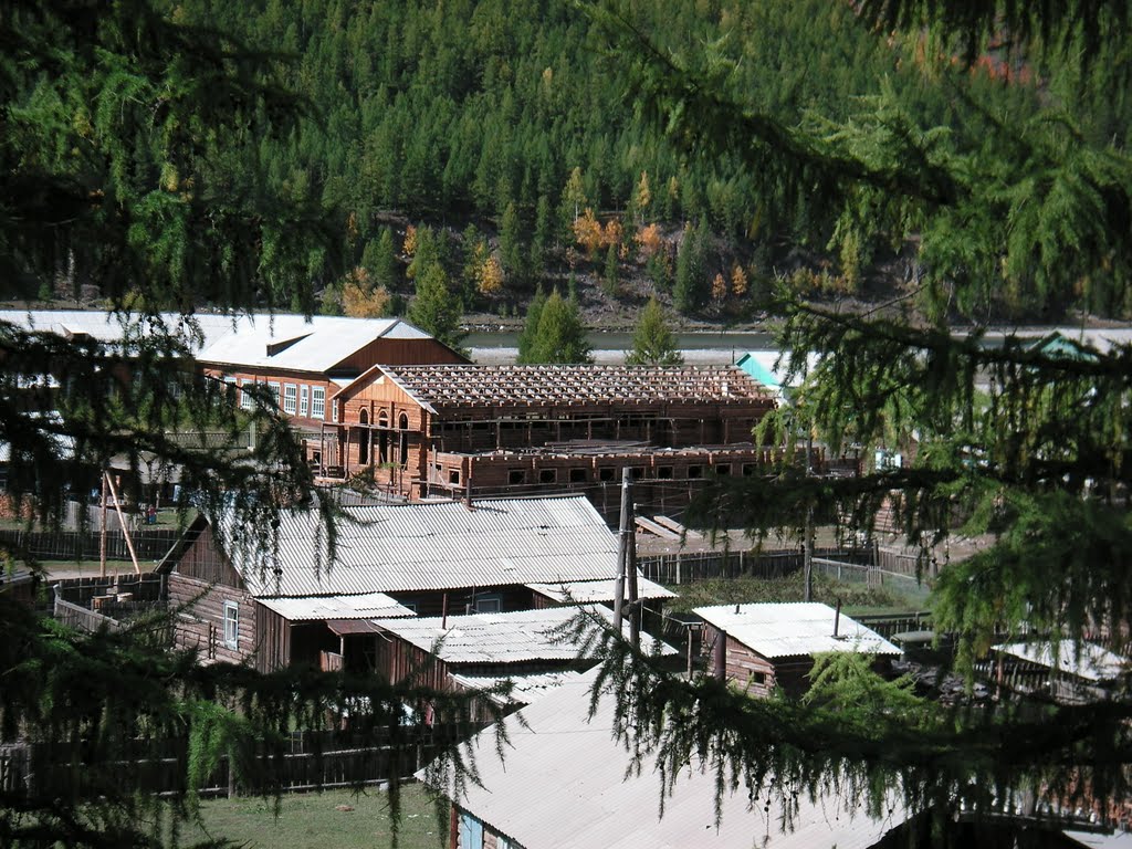 Орлик