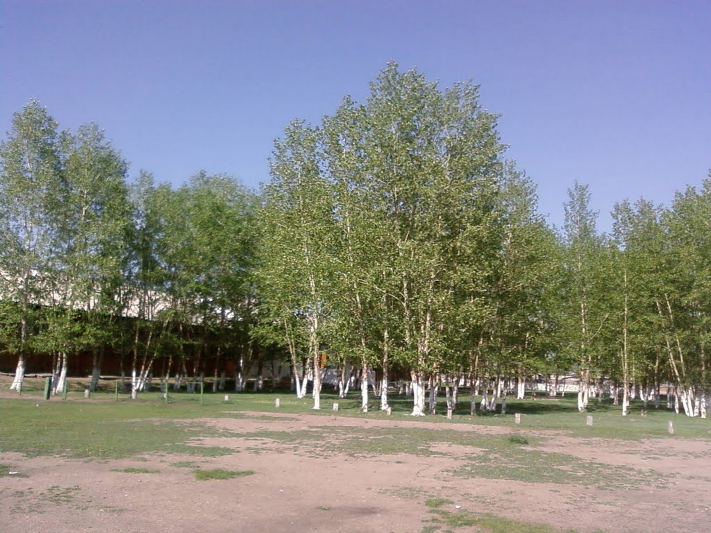 Школьная алея