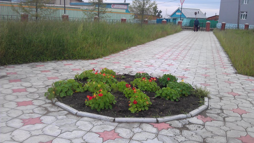Дорожка