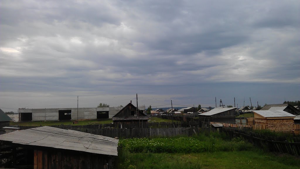 Вид Сосновки