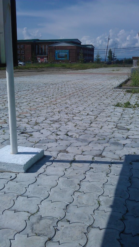 заросла