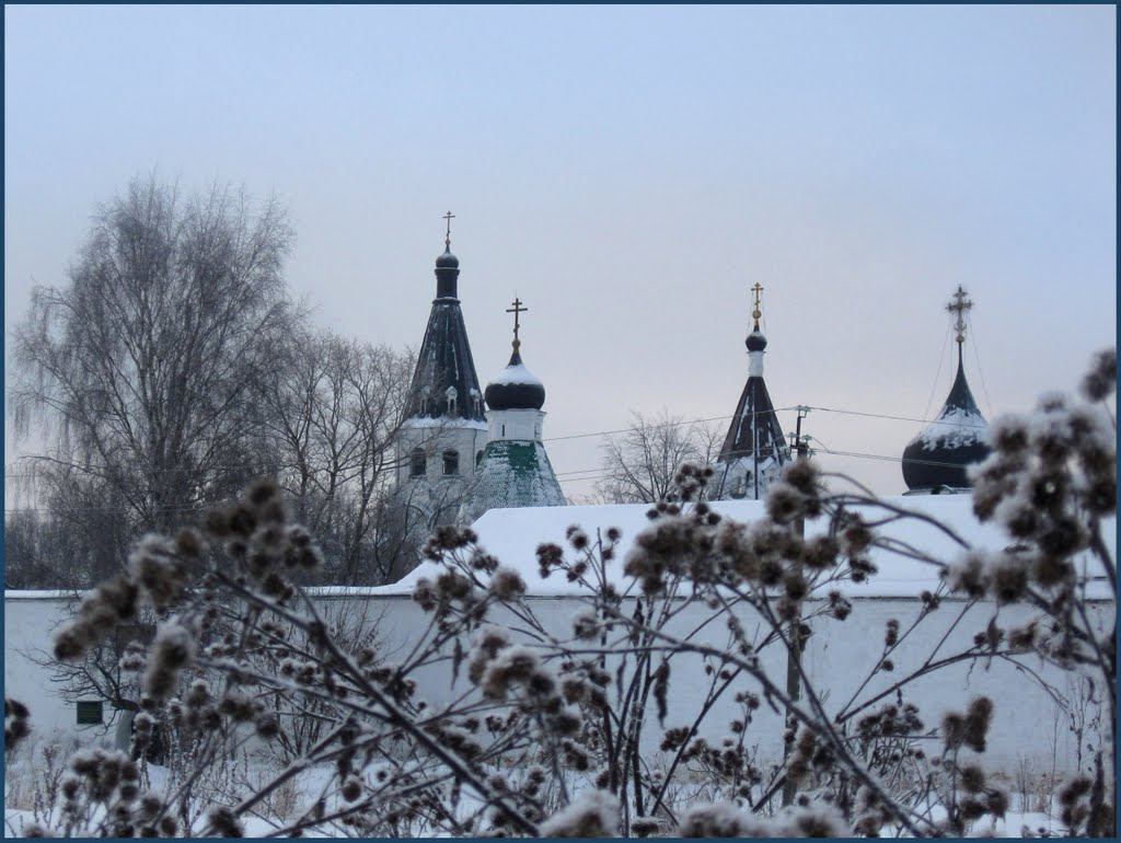 Купола Александровского кремля