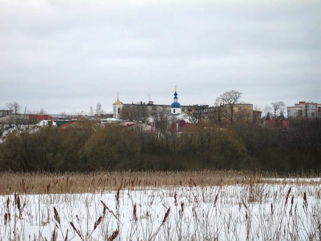 View from marshes to Aleksandrov