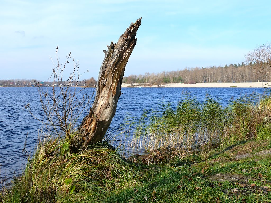 Городское озеро, Гусь-Хрустальный.
