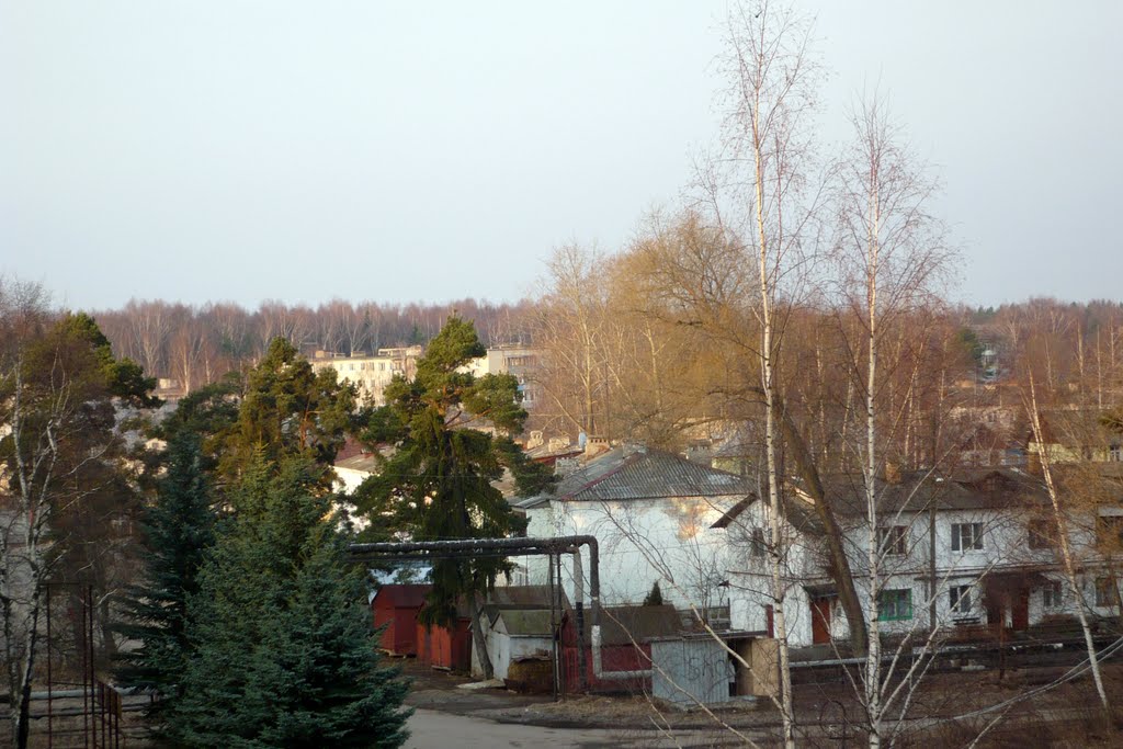 Бавлены