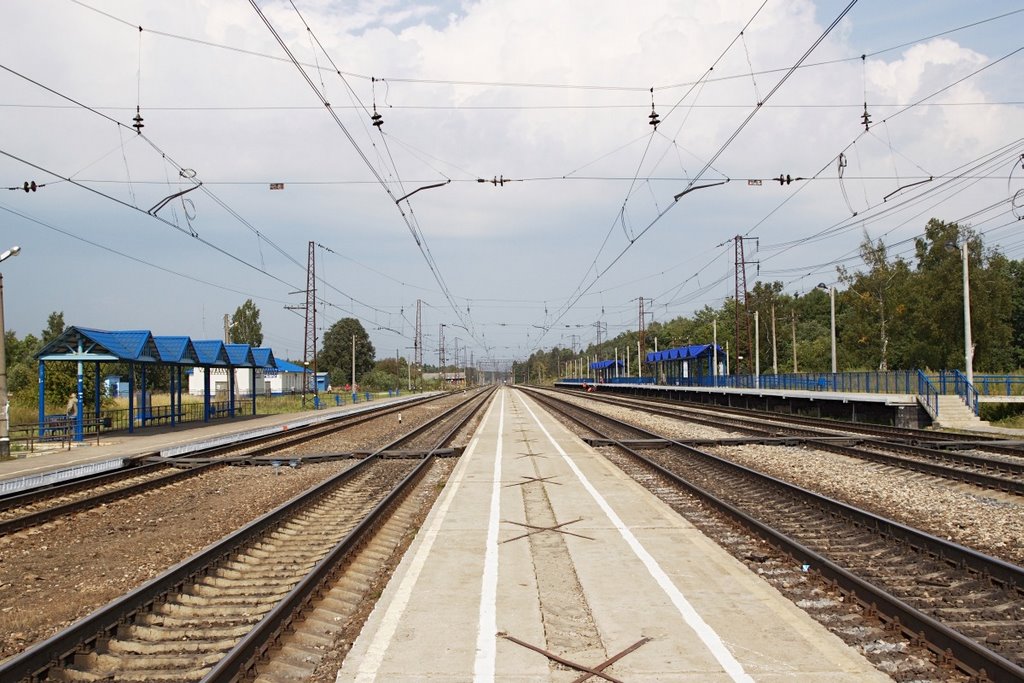 Balakirevo railway station