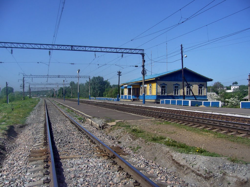 Railway st. Bogolubovo