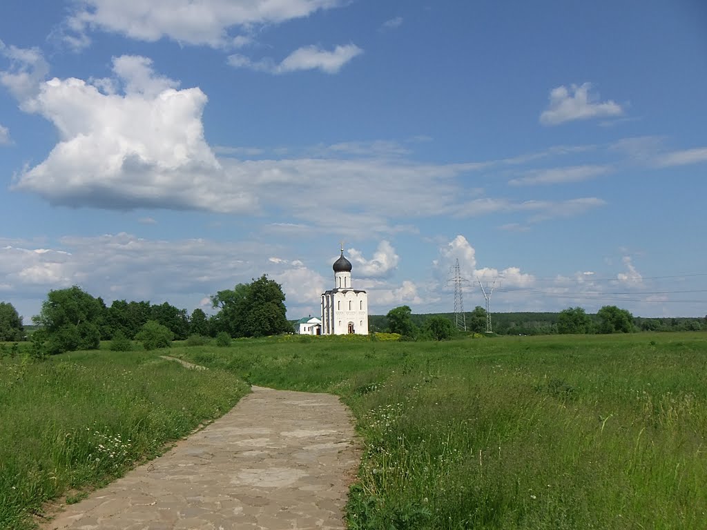 Vladimir