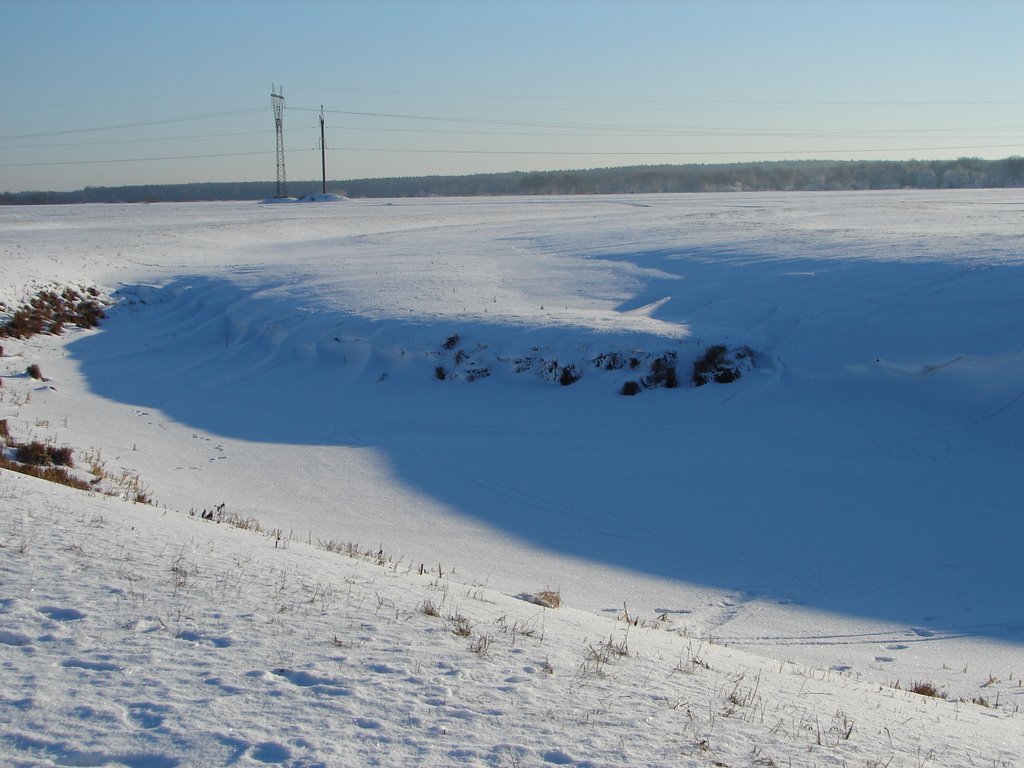 2008-01-03 Боголюбово 019 Пойменный луг