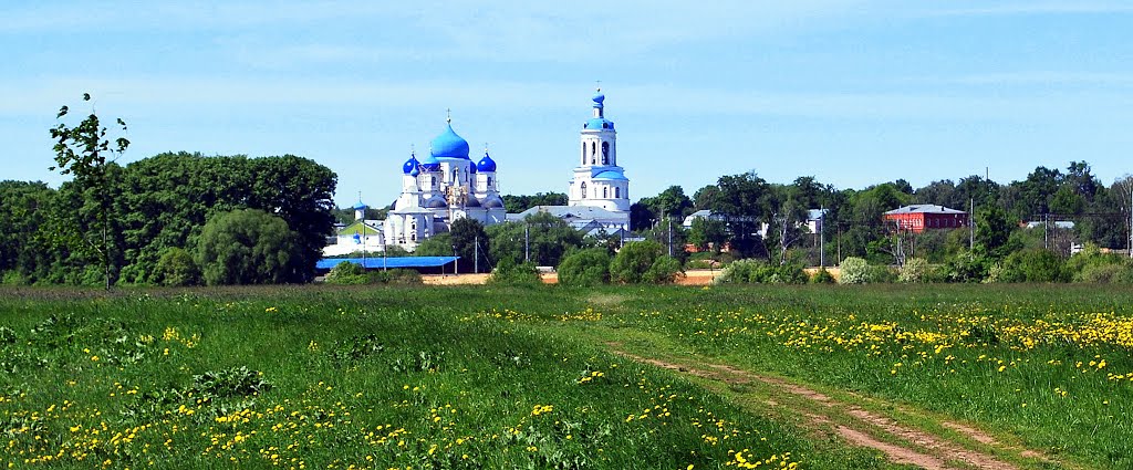Боголюбово.  Bogolyubovo.