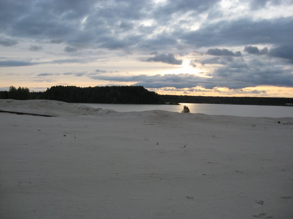 Velikodvorskiy