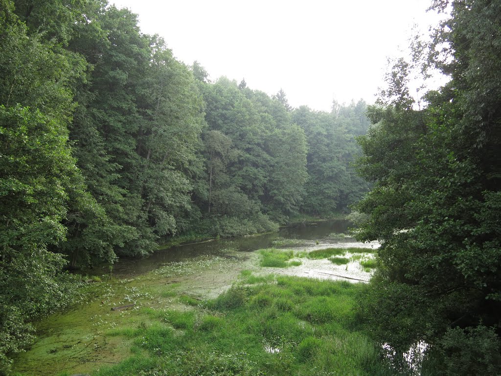 Upper pond