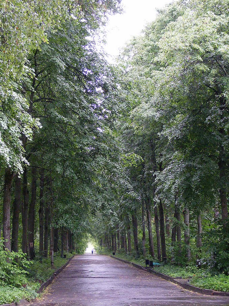 Аллея Ермакова